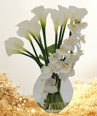 NANCY WENSEL WILLIAMS